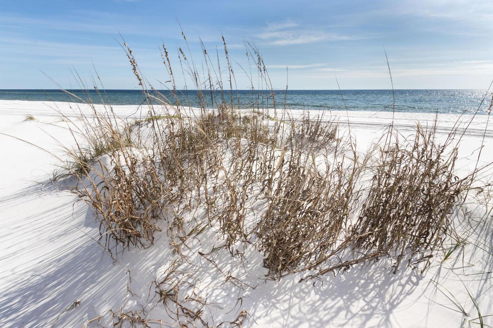 Villa Nautilus Unit 2407 Fort Walton Beach Esterno foto